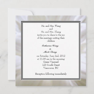 Invitation mariage de fleur marguerite blanche