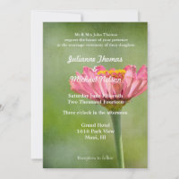Mariage de fleurs rose Zinnia
