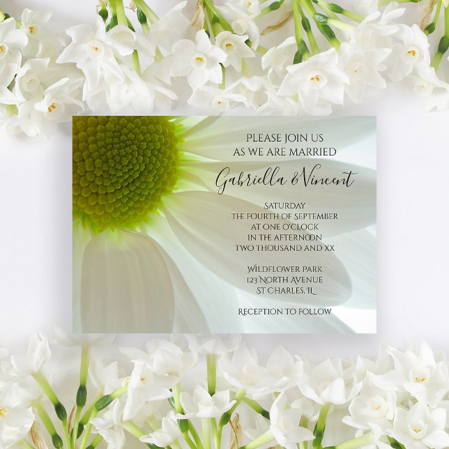Invitation Mariage de pétales de Fleur de Fleur Blanche (Invite guests to your summer marriage ceremony with the pretty White Daisy Petals Wedding Invitation)