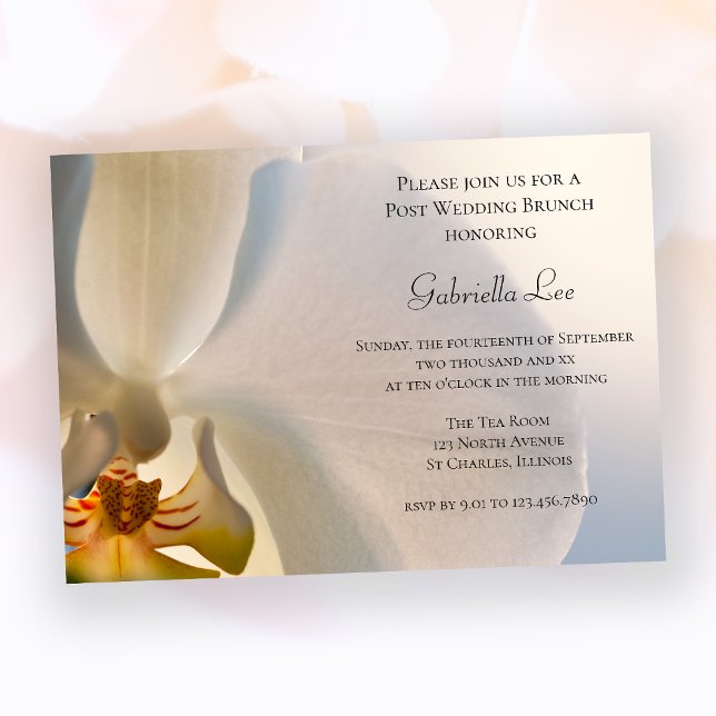 Invitation Mariage de poste de l'orchidée blanche (Créateur téléchargé)