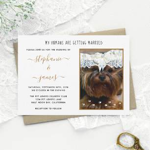 Invitation Mariage des Humains Photo de Mariage de Chien Pers