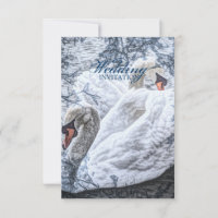mariage romantique lac d'hiver cygne blanc