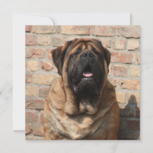 Invitation Mastiff dogue de Bordeaux fête des pères