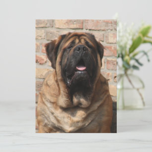 Invitation Mastiff Meilleurs amis de la fête des pères 