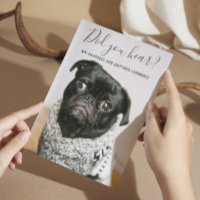 Mes humains se marient Chien Photo Mariage Décontr