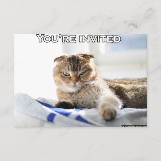 Invitation mignonne de chat pour une partie