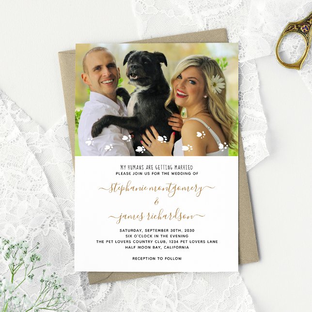 Invitation Migre Mes Humains Se Marier Animal Mariage Photo (Créateur téléchargé)