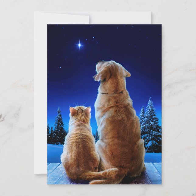 Invitation Miracle de Noël de chat et chien (Devant)