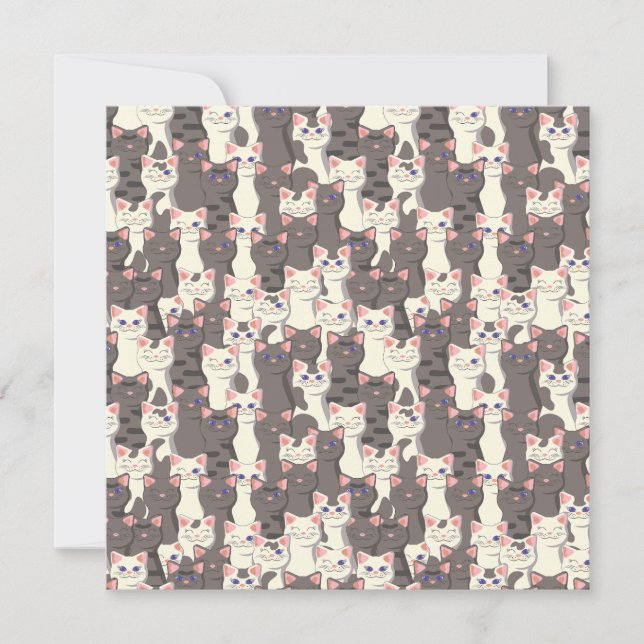 Invitation Motif de chats blancs et gris (Devant)