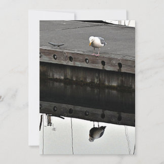 Invitation Mouette réfléchissante