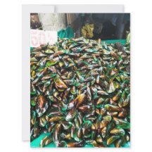 Moules à lèvres vertes à vendre