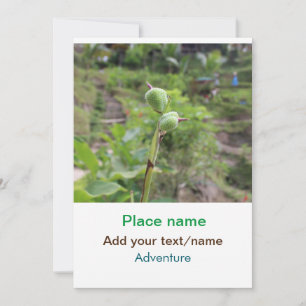 Invitation Nature plante photographie plage eau nom de voyage