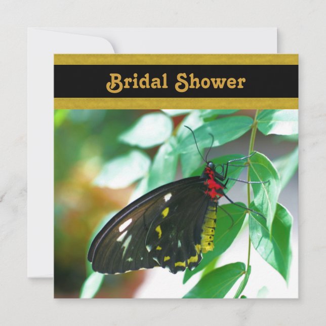 Invitation noire de Fête de la mariée de nature de (Devant)