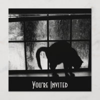 Octobre Douches Chat Silhouette À La Fenêtre 2 B&W