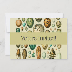 Invitation Œufs d'oiseaux vintage Art d'œuf de poisson frança