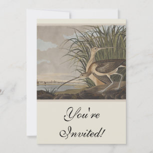 Invitation Oiseau de Courlis à long bec Audubon