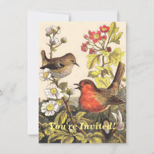 Invitation Oiseaux de printemps Robin Oiseaux rouges