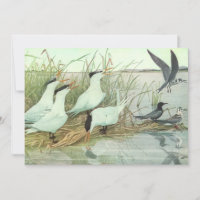 Oiseaux de rivage vintage dans un marais par Louis