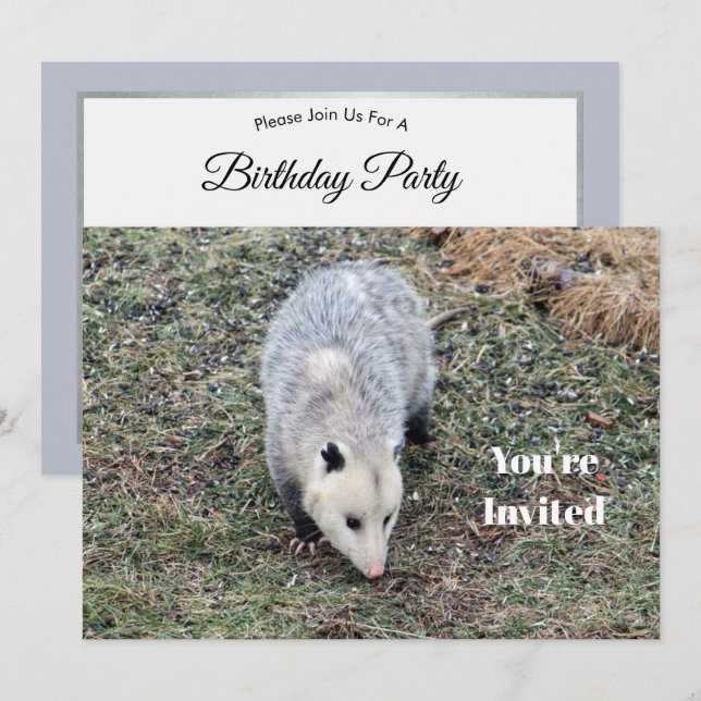 Invitation Opossum Photo Anniversaire (Devant / Derrière)