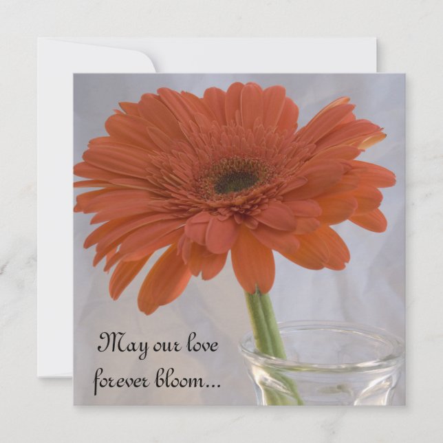 Invitation Orange Gerber Daisy Mariage (Devant)
