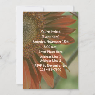 Invitation Orange Sunflower Petals Party