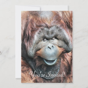 INVITATION ORANGUTANS