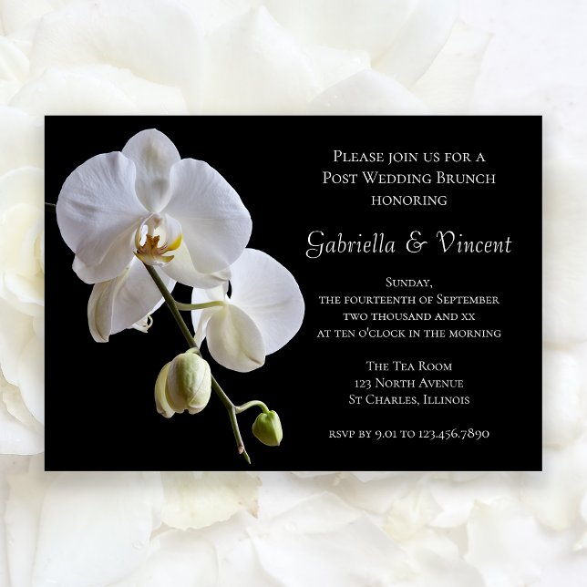 Invitation Orchidée blanche sur Black Post Mariage Brunch (Créateur téléchargé)