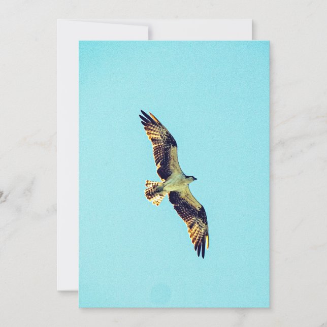 Invitation Osprey (Devant)