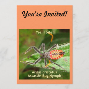 Invitation Oui je mords l'insecte d'assassin