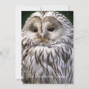 INVITATION OWLS
