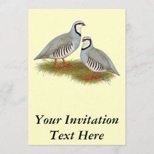 Invitation Paire de perdrix de Chukar