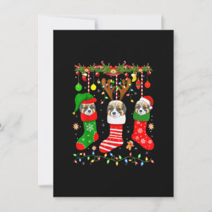 Invitation Papillon Chien Dans Chaussettes De Noël Éclairage 