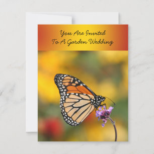 Invitation Papillon monarque à la recherche de pollen