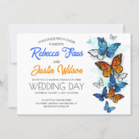 Papillons bleus et orange Morpho Monarque