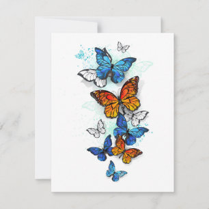 Invitation Papillons volants Morpho et Monarch