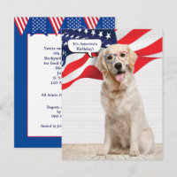 Parti 4 juillet Golden Retriever