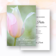 Pastel Tulip Fleur Printemps Anniversaire de la mo