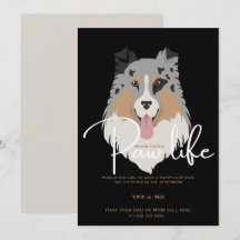 Patte de chien chiot mignon vie fête 