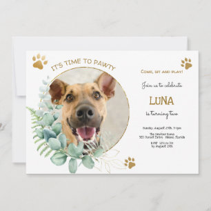 Invitation Pawty, fête d'anniversaire de chien