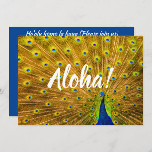 Invitation Peacock, Silver Falls, Kauai, Hawaii