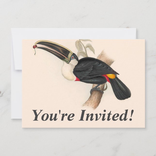 Invitation Peinture animalière d'antiquités Toucans (Devant)