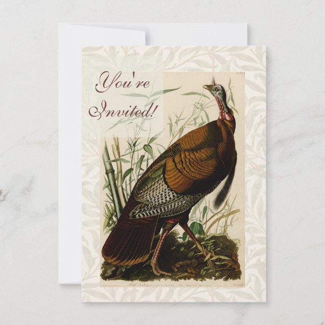 Invitation Peinture d'oiseaux sauvages de Turquie Audubon (Devant)