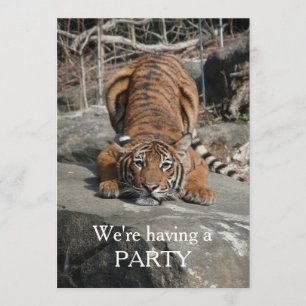 invitation personnalisable du tigre