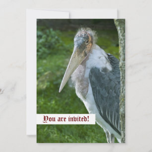 Invitation personnalisée Marabou