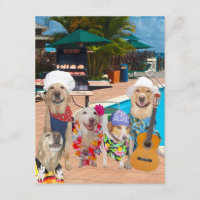Invitation personnalisée pour les chiens de piscin