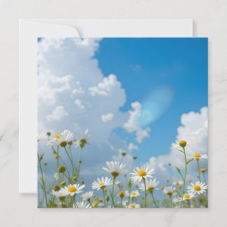 Invitation Pétales Choyés par le Soleil