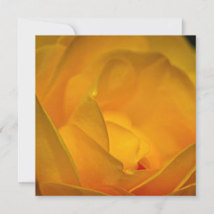Invitation Pétales de rose jaune impressionniste