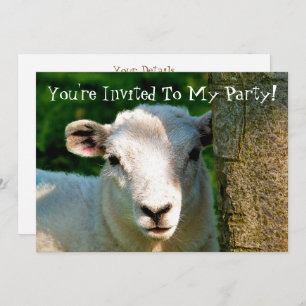 INVITATION PETIT MOQUETTE