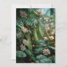 Petit Pois dans la Cosse | Petits Pousses Sucrées