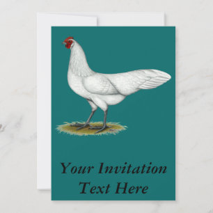 Invitation Phoenix : Hen blanc